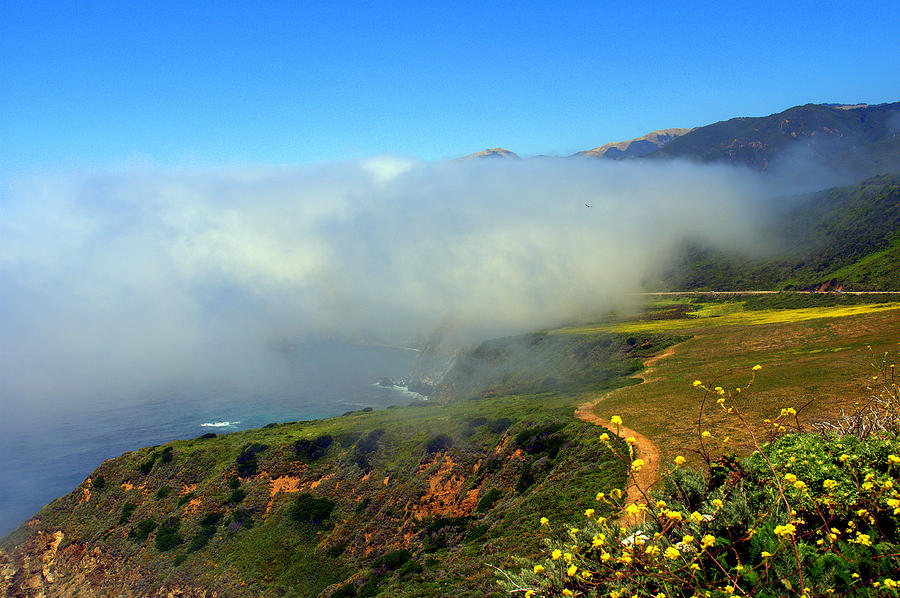 Scenic Pacific Coast Photograph by Caroline Stella