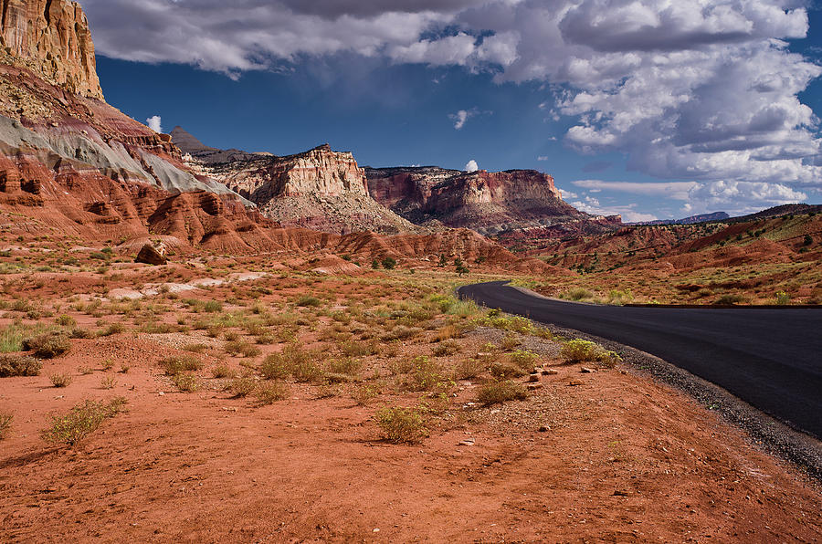 National Parks Photograph - Scenic Road 2 by Greg Nyquist