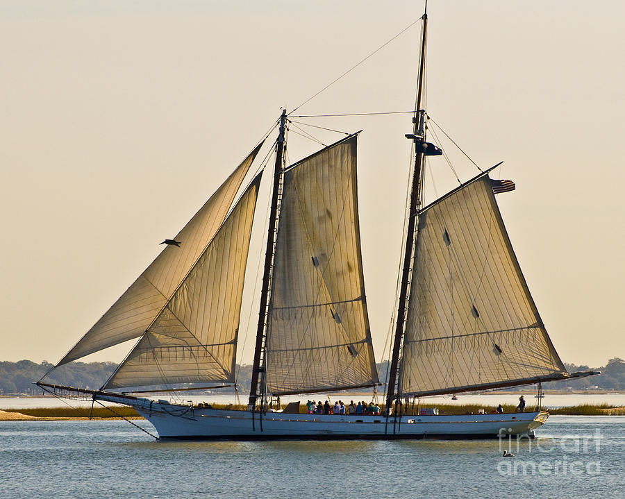 Scenic Schooner Photograph by Al Powell Photography USA