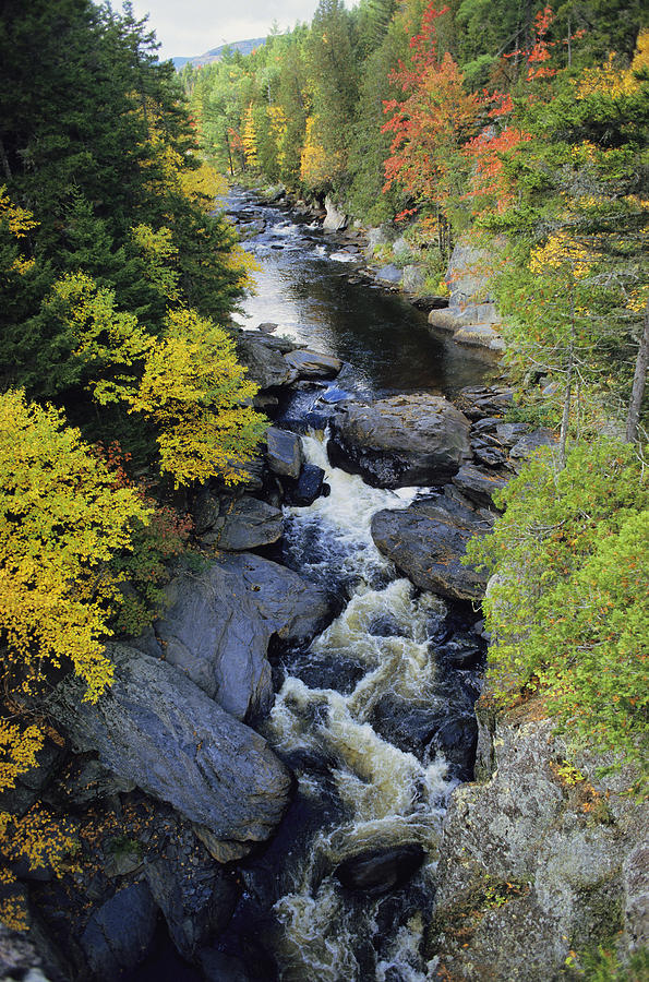 Scenic View Of The Pleasant River Photograph by Sam Abell