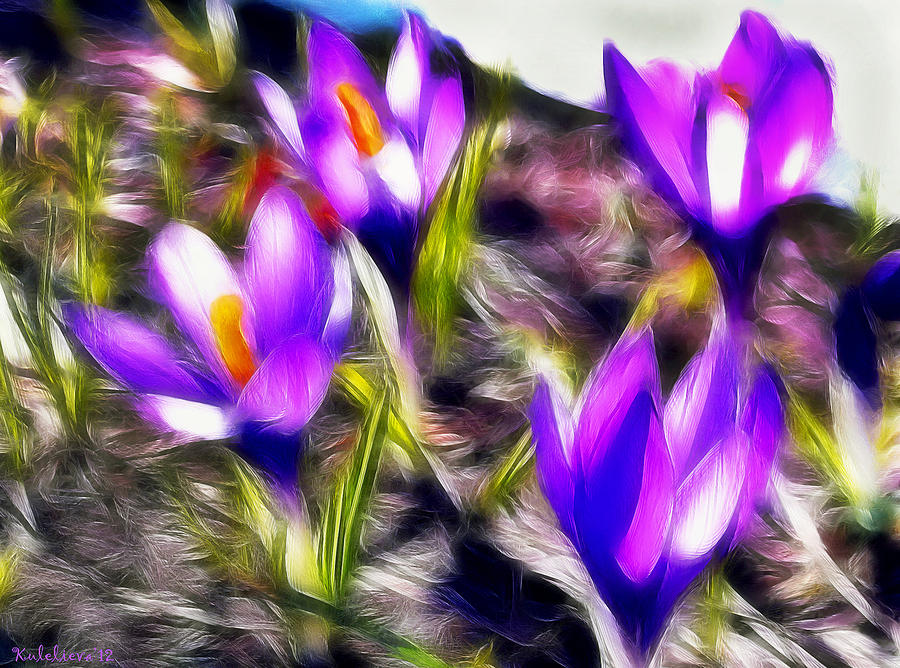 Crocus Digital Art - Scent of spring by Desislava Kulelieva