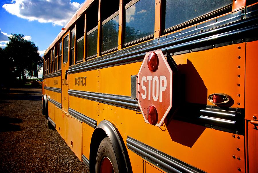 School Bus Photograph by Eric Tressler