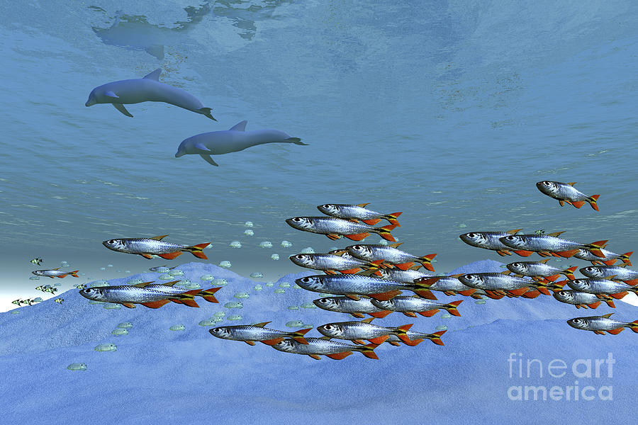 Fish Digital Art - Schools Of Fish Swim In The Blue Ocean by Corey Ford