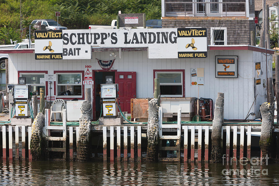 Schupps Landing I Photograph by Clarence Holmes