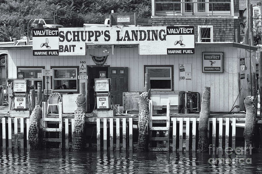 Schupps Landing II Photograph by Clarence Holmes