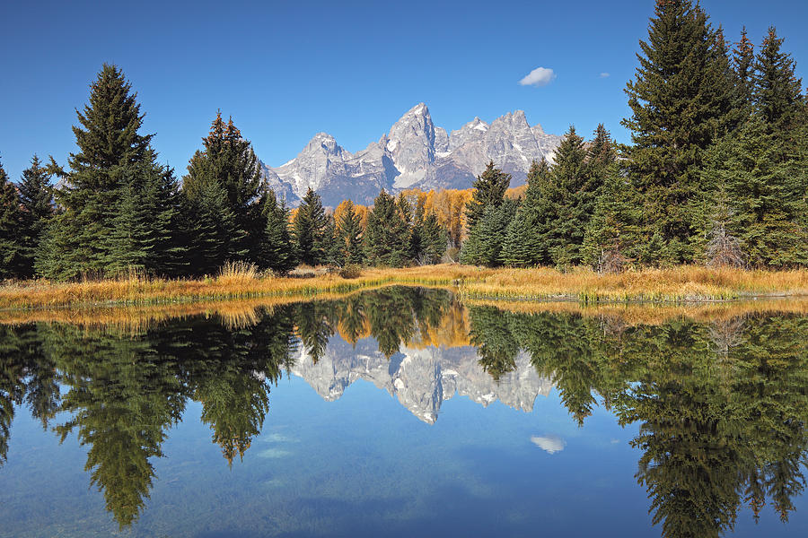 Schwabacher Landing Photograph by Rainer Grosskopf - Fine Art America