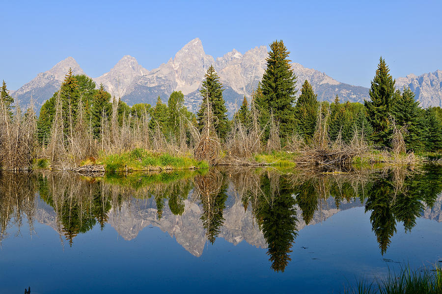 Schwabacher Morning Reflections Photograph by Greg Norrell