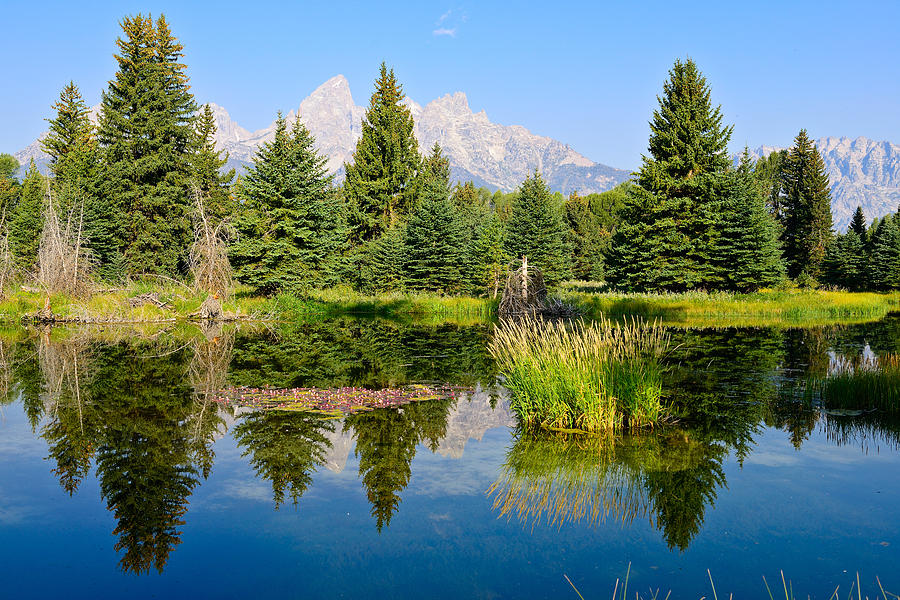 Schwabacher Reflections Photograph by Greg Norrell