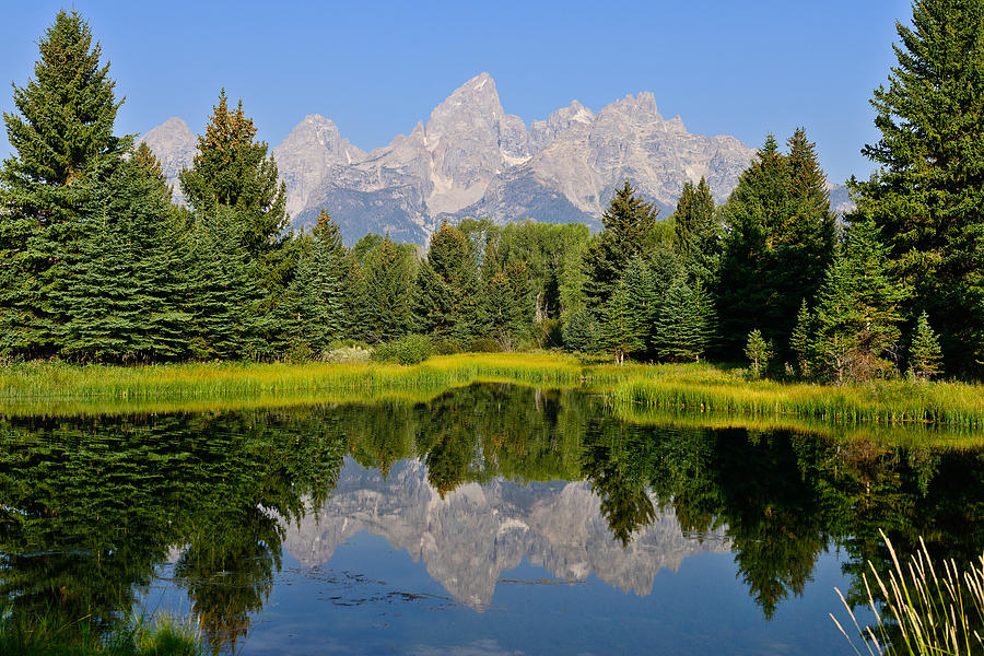 Schwabacher Still Waters Photograph by Greg Norrell