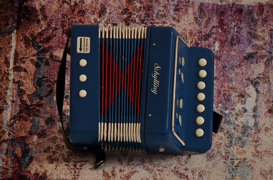 Music Photograph - Schylling Accordion by Bill Cannon