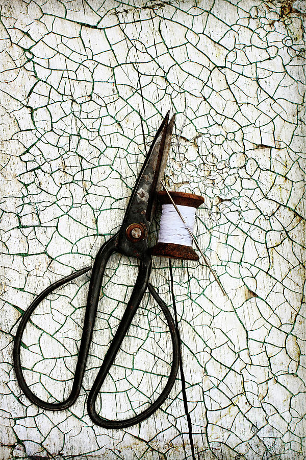 Scissors and Thread Photograph by Stephanie Frey