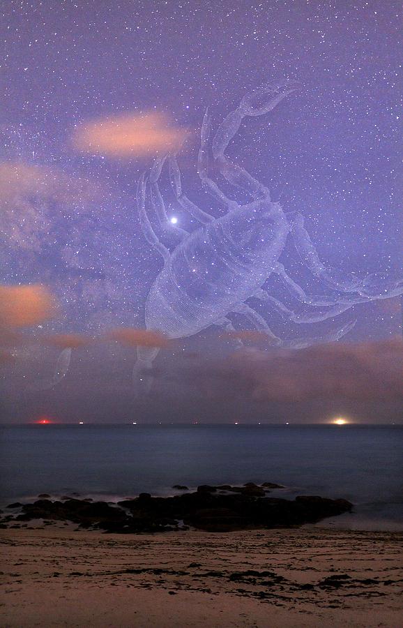 Scorpio In A Night Sky Photograph by Laurent Laveder