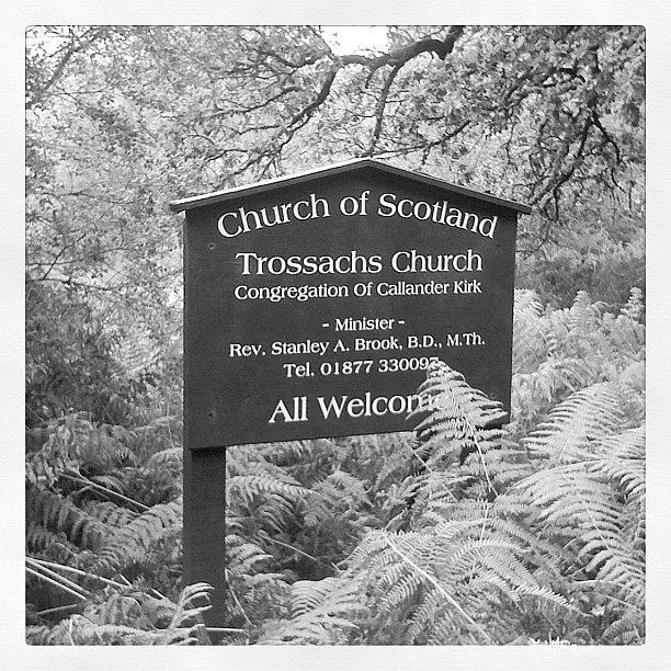 Nature Photograph - #scotland #sign Post #nature #the by Carolyn Ferris