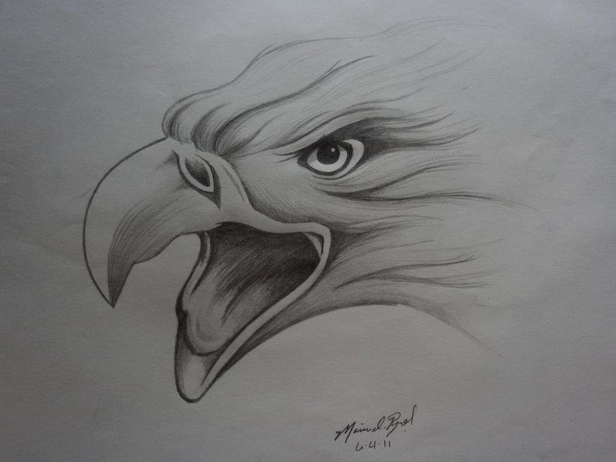 Screaming Eagle Drawing by Nina Rynd - Fine Art America