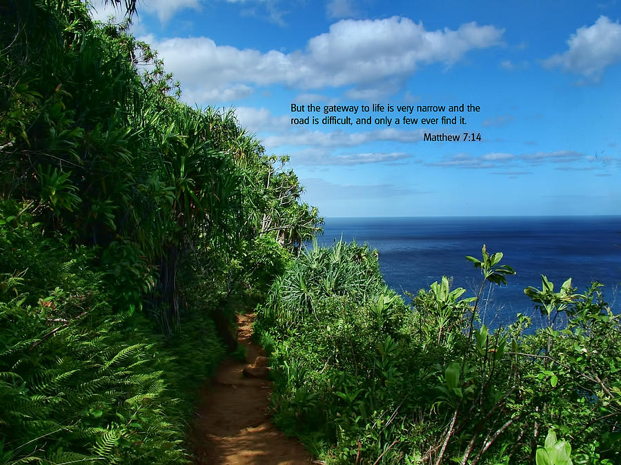 Scripture and Picture Matthew 7 14 Photograph by Ken Smith
