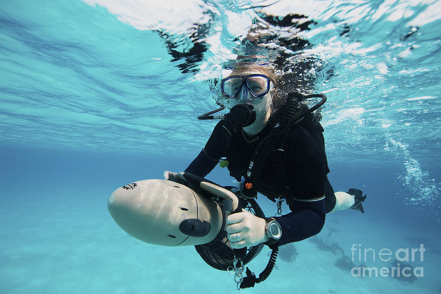 Scuba Diver Swims By Some Large Sponges #1 iPhone Case by Terry Moore -  Fine Art America