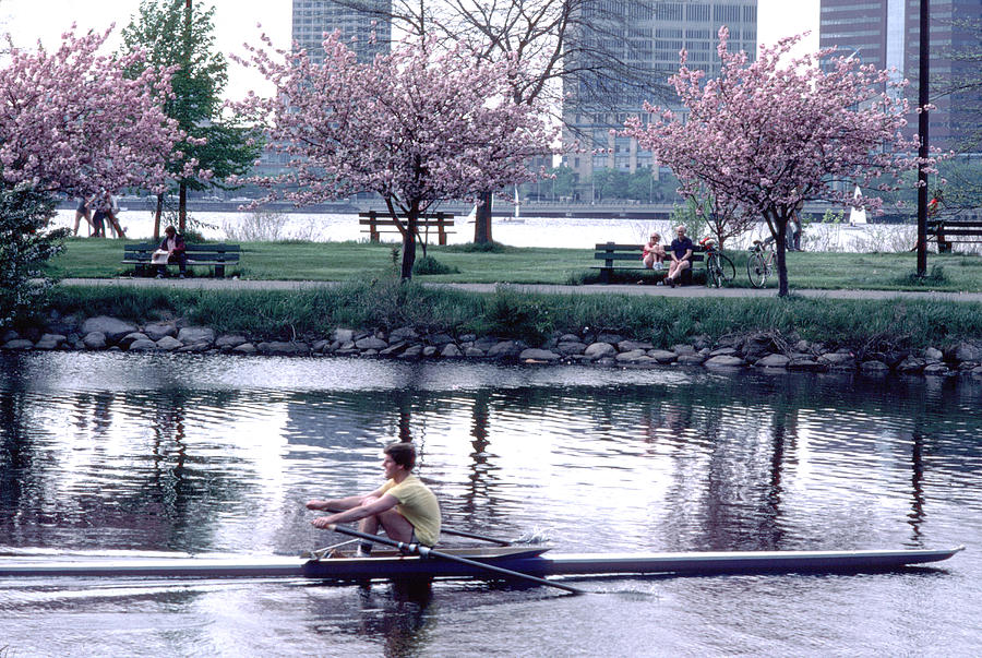 Sculling the Lagoon Back Bay Boston Photograph by Tom Wurl