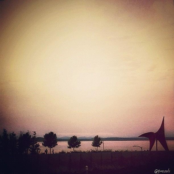 Sunset Photograph - Sculpture Park Serenity by Tanisha C