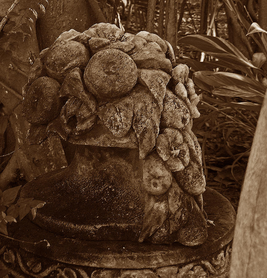 Sculpture Sepia Banyan Garden Photograph By Janis Beauchamp Fine Art