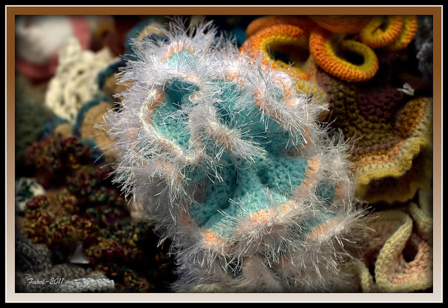 Sea Anemone Crochet Photograph by Farol Tomson