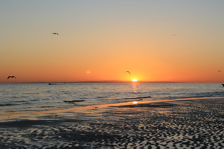 Sea Beauty Photograph by Wendi Curtis - Pixels