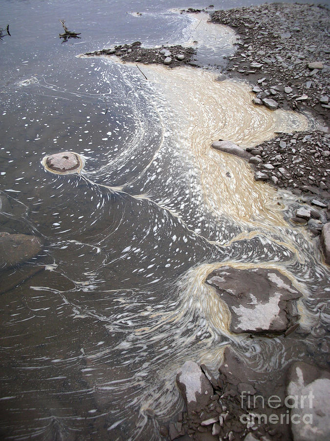 Sea Foam And Algae Photograph by Ted Kinsman