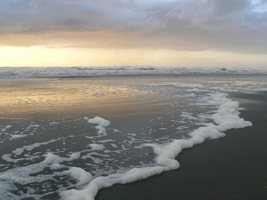 Sea Foam Photograph by Pamela Patch