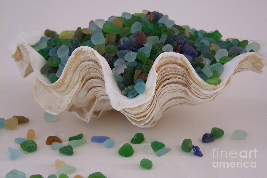 Sea Glass in Clam Shell - No 1 Photograph by Mary Deal