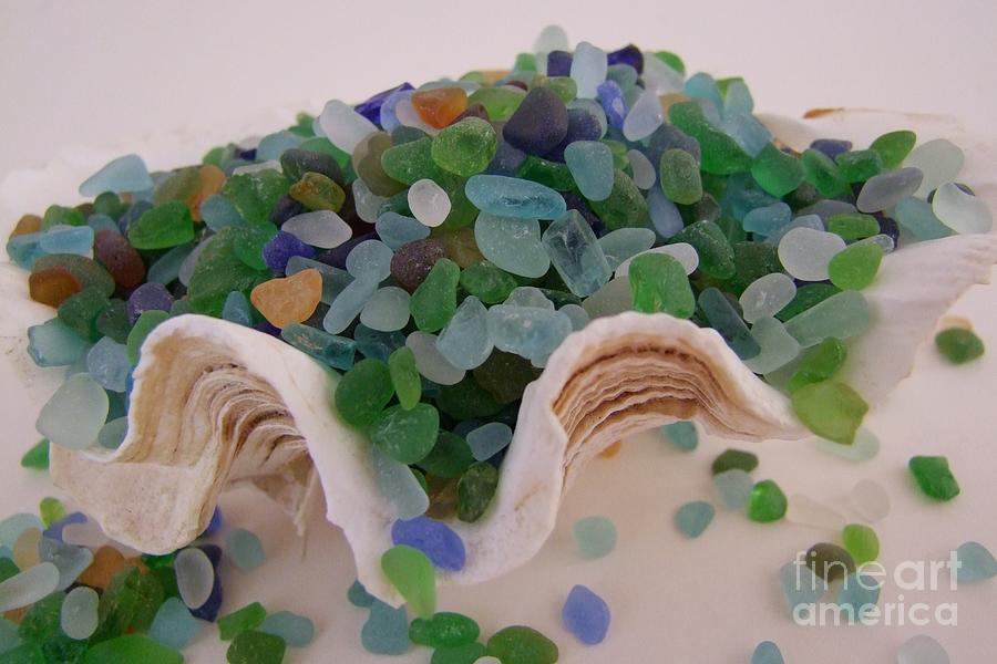 Sea Glass in Clam Shell - No 2 Photograph by Mary Deal