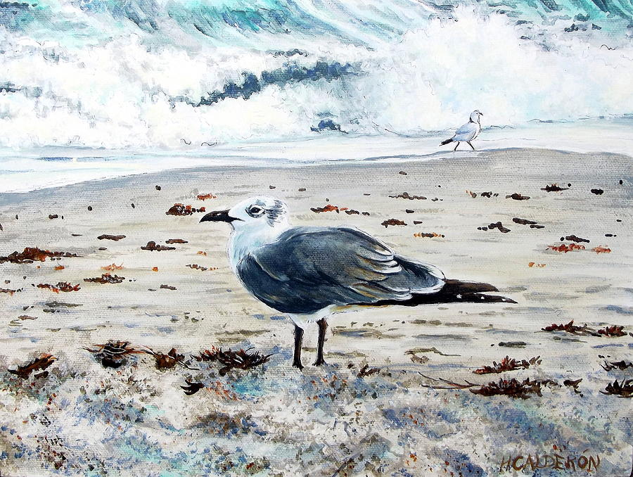 Sea Gull Dania Beach FL Painting by Heather Calderon
