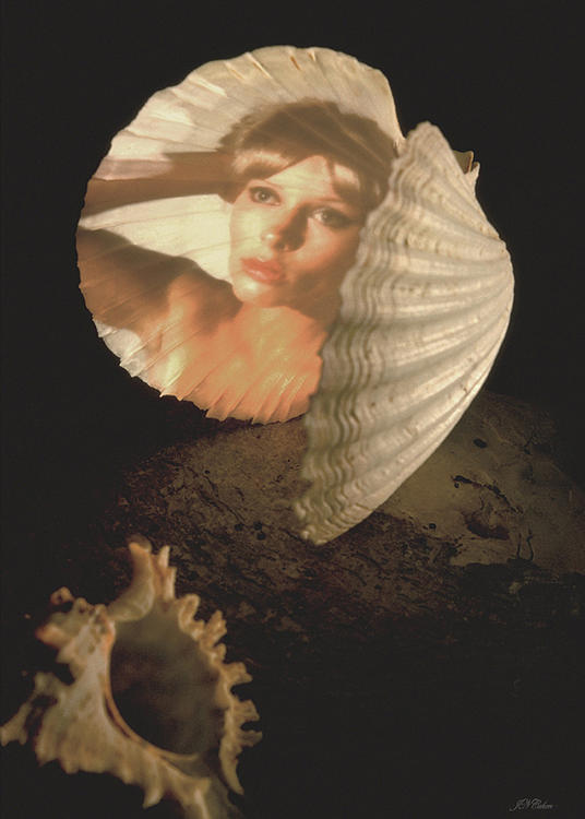 Mermaid Photograph - Sea Nymphs Mirror Card by John Neville Cohen