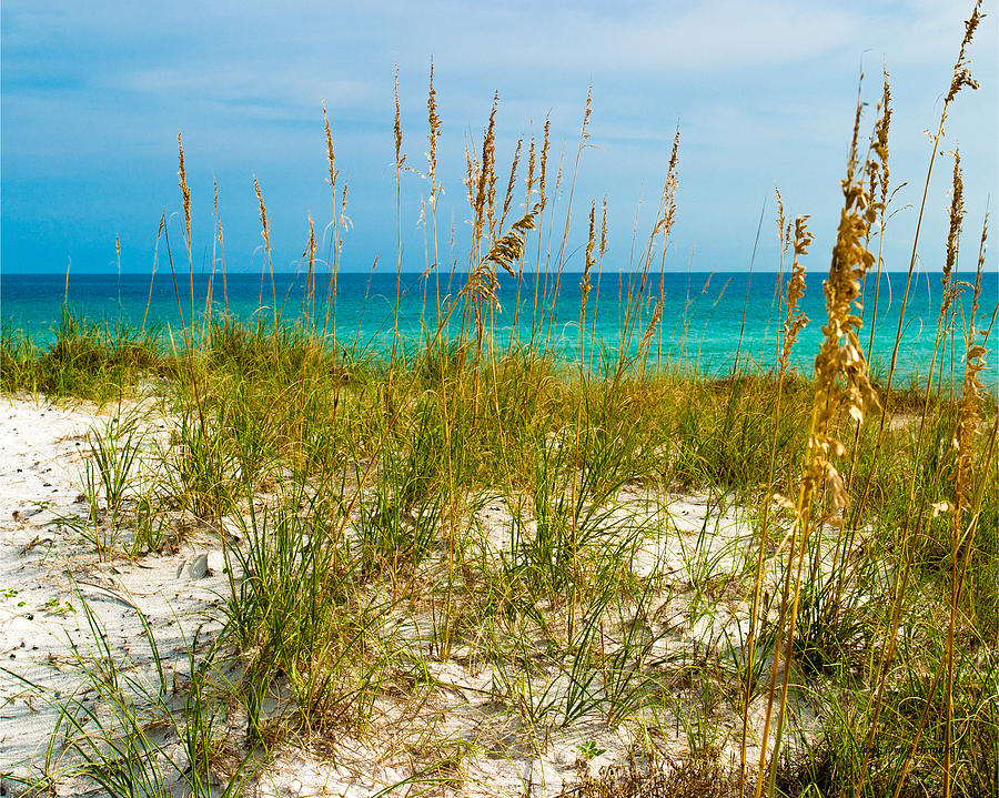 Sea Oats Gulf - Destin Photograph by Ernest Hamilton - Fine Art America