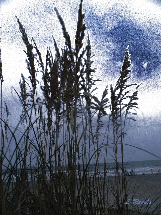 Sea Oats on Tybee Photograph by Leslie Revels