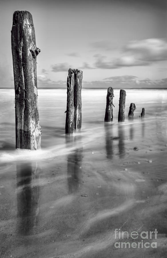 Abstract Photograph - Sea Sentinels - Mono by John D Hare
