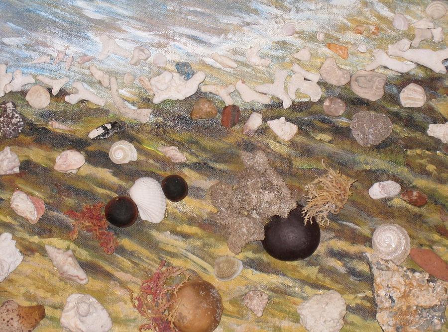 Sea Shell Collection Painting by Donna Muller