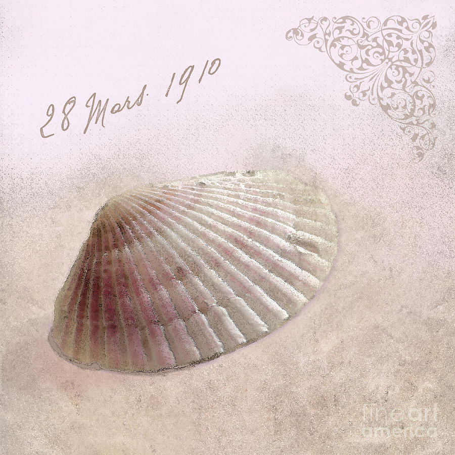 Sea Shell in Pink Photograph by Betty LaRue