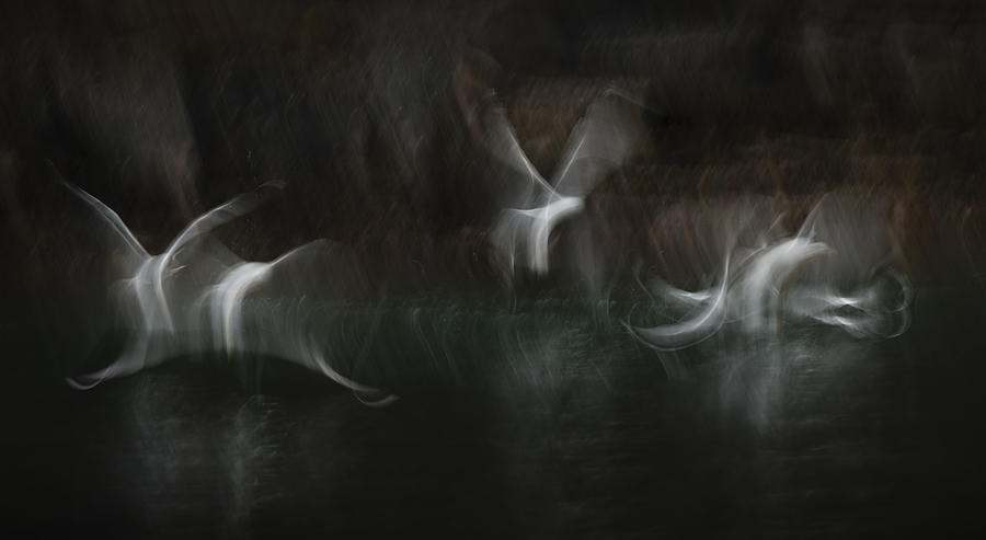 Sea Spirits Photograph by Andy Astbury