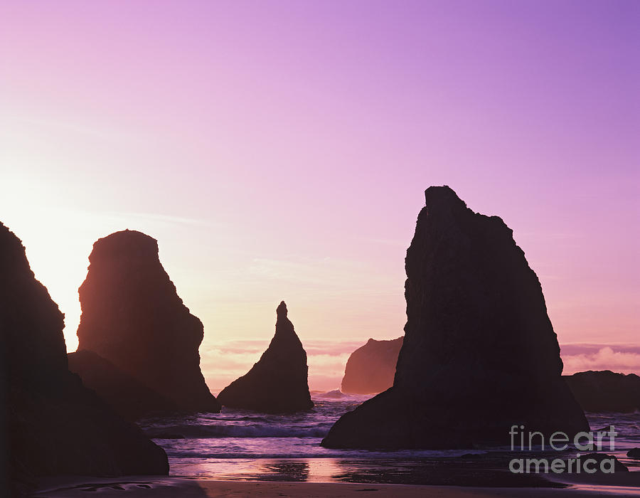 Sea Stacks Photograph by Dennis Flaherty and Photo Researchers