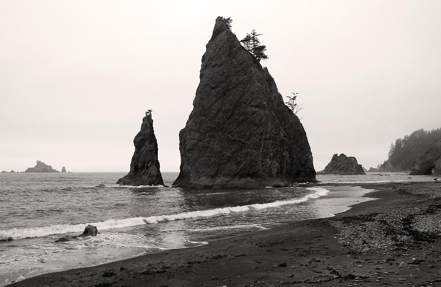 Sea stacks in the fog Photograph by Pierre Leclerc Photography