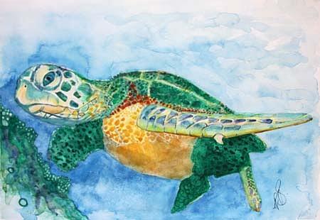 Turtle Painting - Sea Turtle 1. by Paula Steffensen
