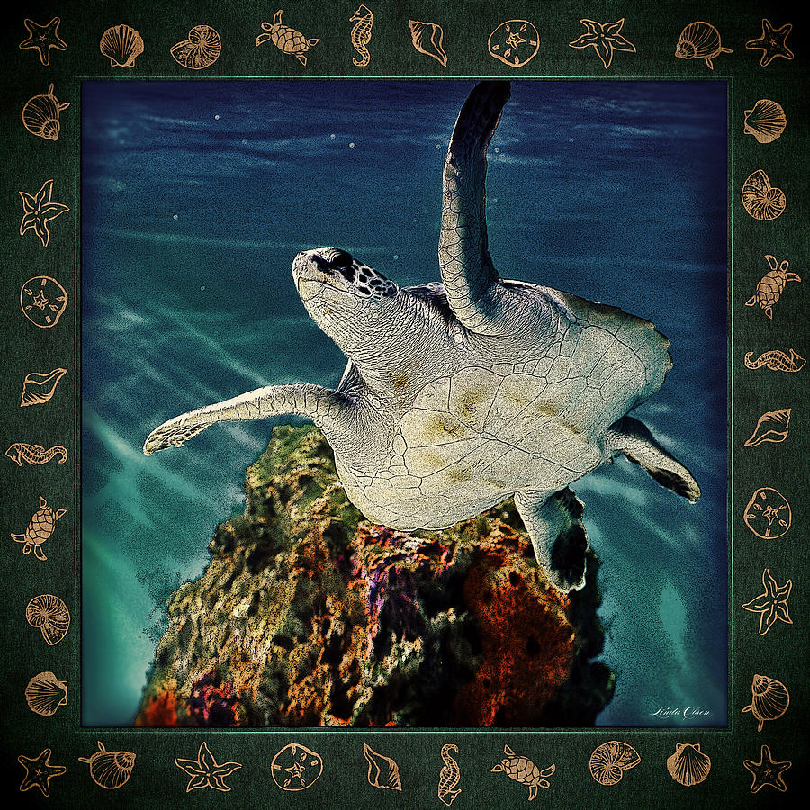 Sea Turtle Grunge Photograph by Linda Olsen