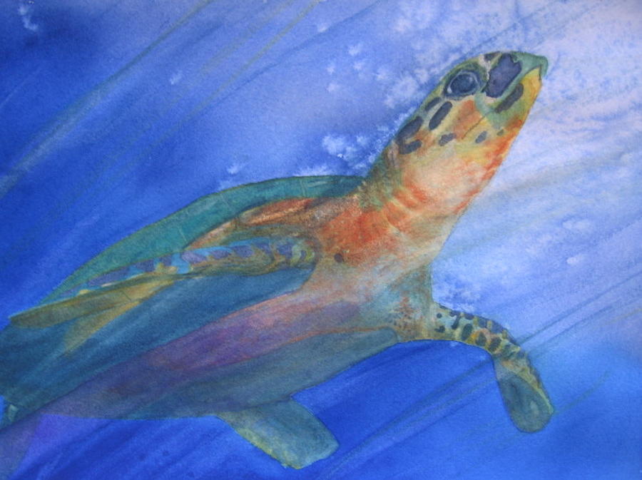 Animal Painting - Sea Turtle IV by Dee Durbin