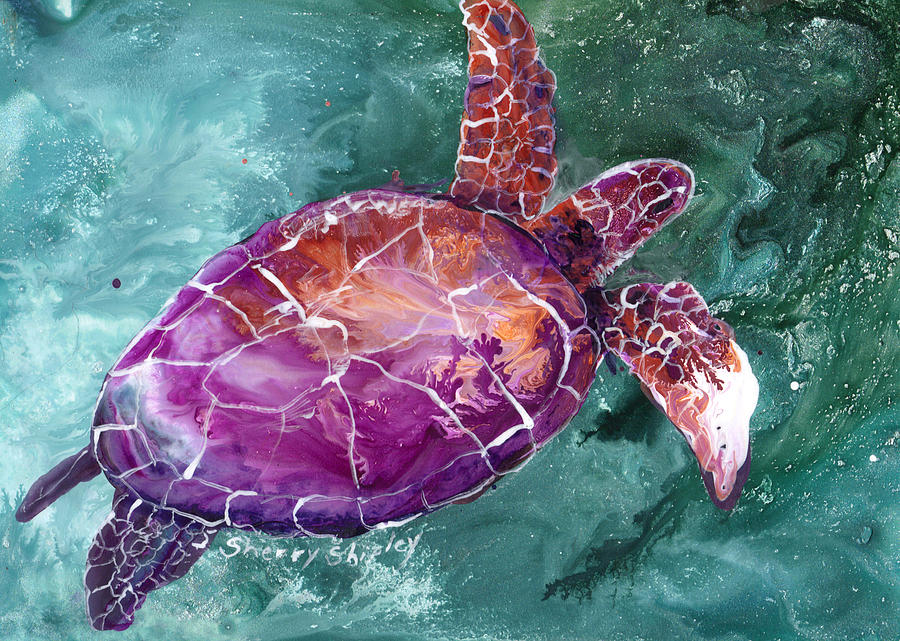 Wildlife Painting - Sea Turtle by Sherry Shipley