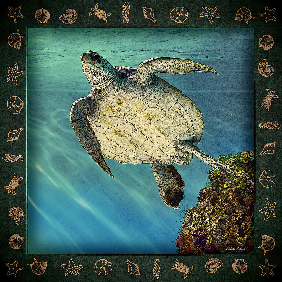 Sea Turtle Swims RAD Photograph by Linda Olsen