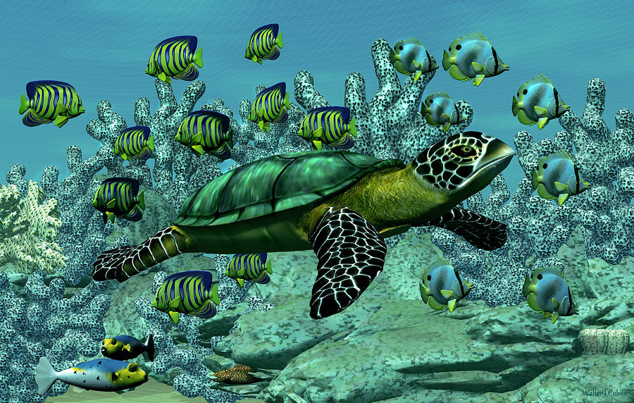 Sea Turtle Digital Art by Walter Colvin