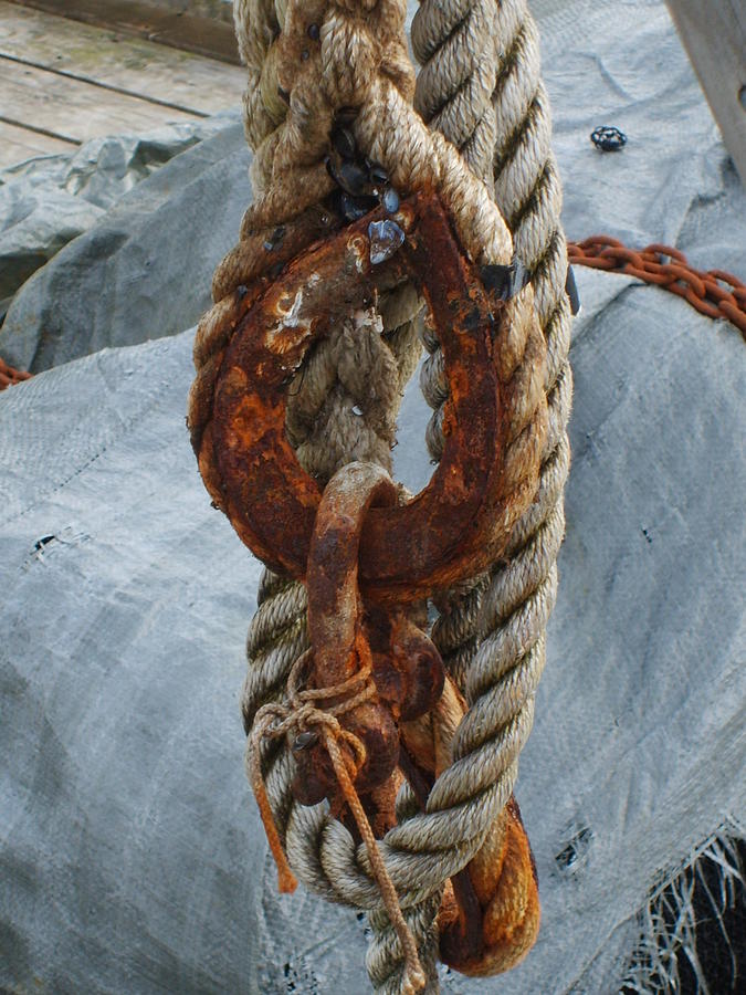 Seafarer's Rigging Photograph by Judith Hagen - Fine Art America