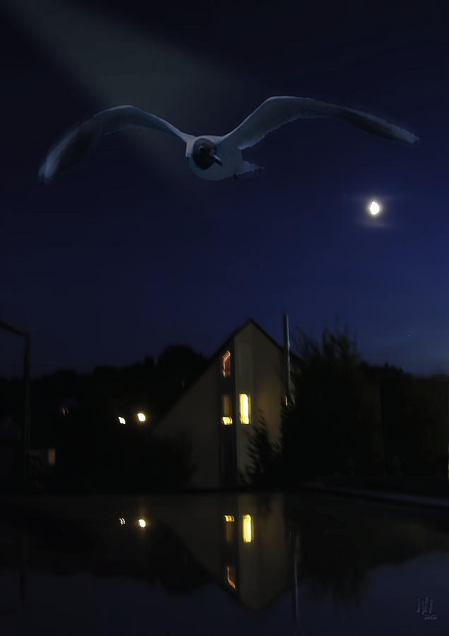 Seagull Digital Art - Seagull At Night Flight by Nafets Nuarb
