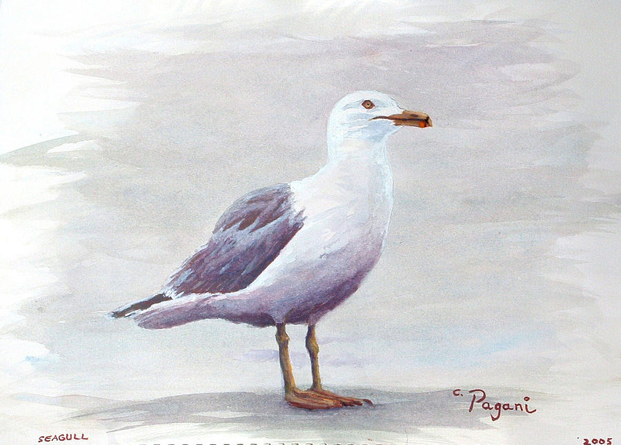 Seagull Painting by Chriss Pagani