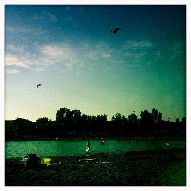 Nature Photograph - #seagull #lake #nature #iphoneonly by Ange Exile DuParadis