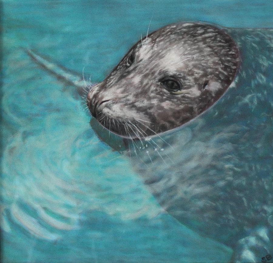 Seal Painting by Sabina Bonifazi